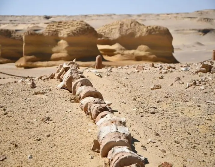 6-Day Cairo & White Desert Adventure | Explore Egypt’s Hidden Gems